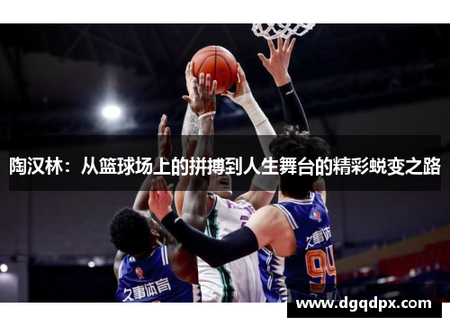 陶汉林：从篮球场上的拼搏到人生舞台的精彩蜕变之路